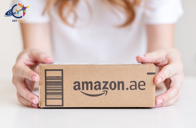 Chi phí dịch vụ gửi hàng đi Mỹ