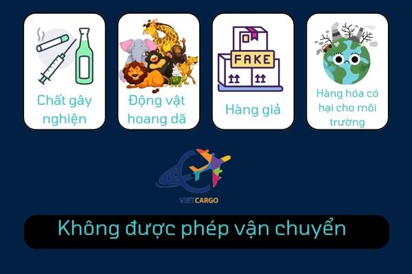 Công ty chuyển phát nhanh VietCargo