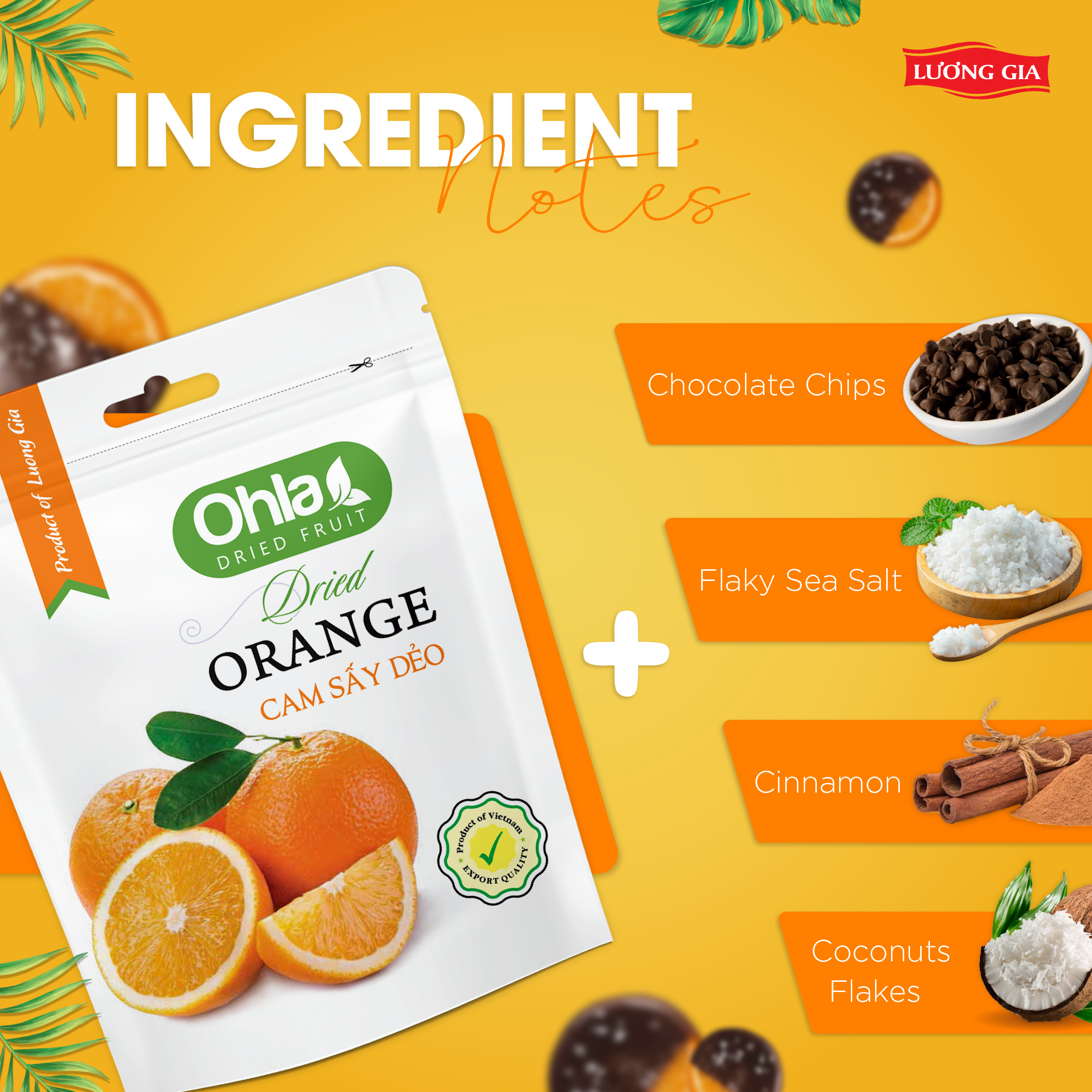 Tại Sao Trái Cây Sấy Là Lựa Chọn Hoàn Hảo Cho Sức Khỏe?