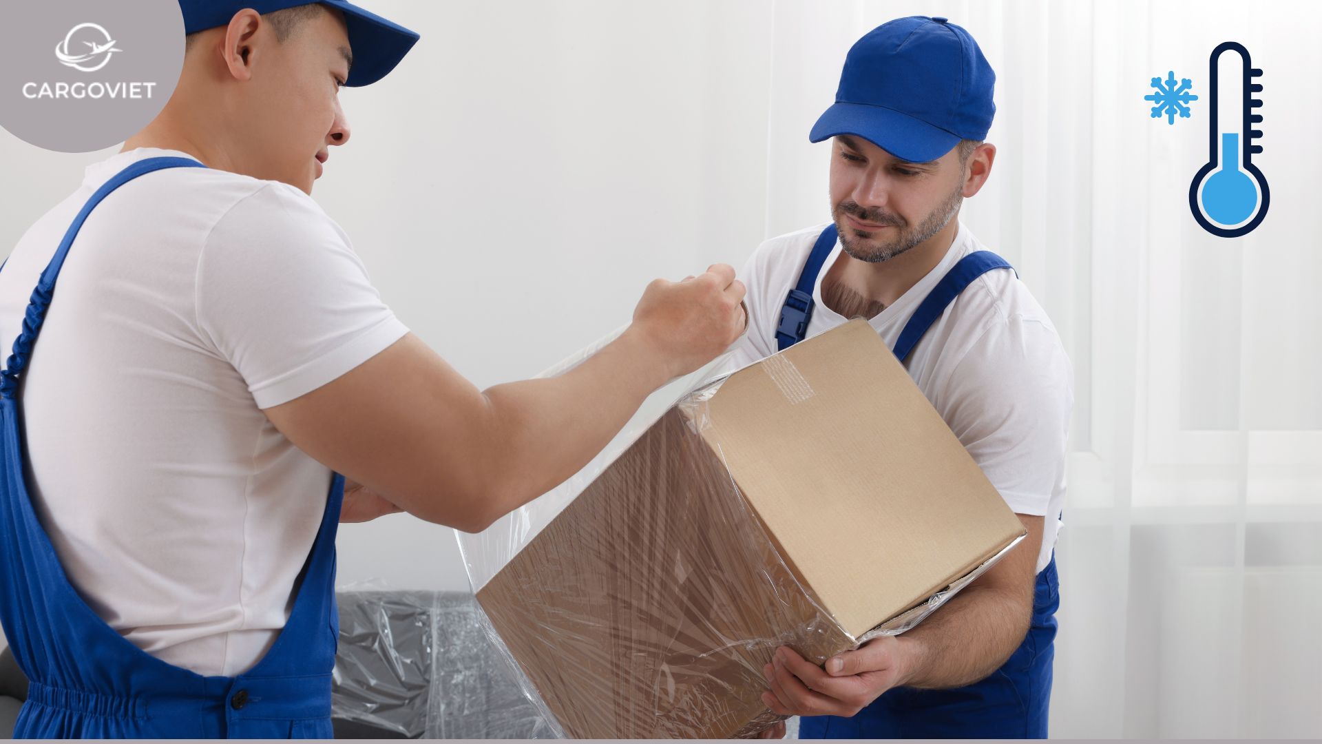 Dịch Vụ Ship Trái Cây Mỹ Về Việt Nam