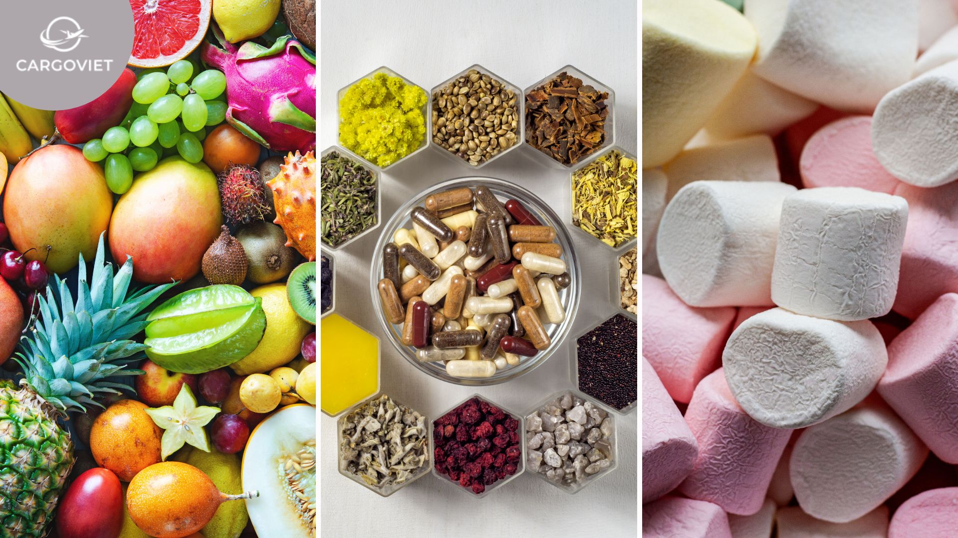 An toàn và đảm bảo với dịch vụ vận chuyển thực phẩm từ Mỹ