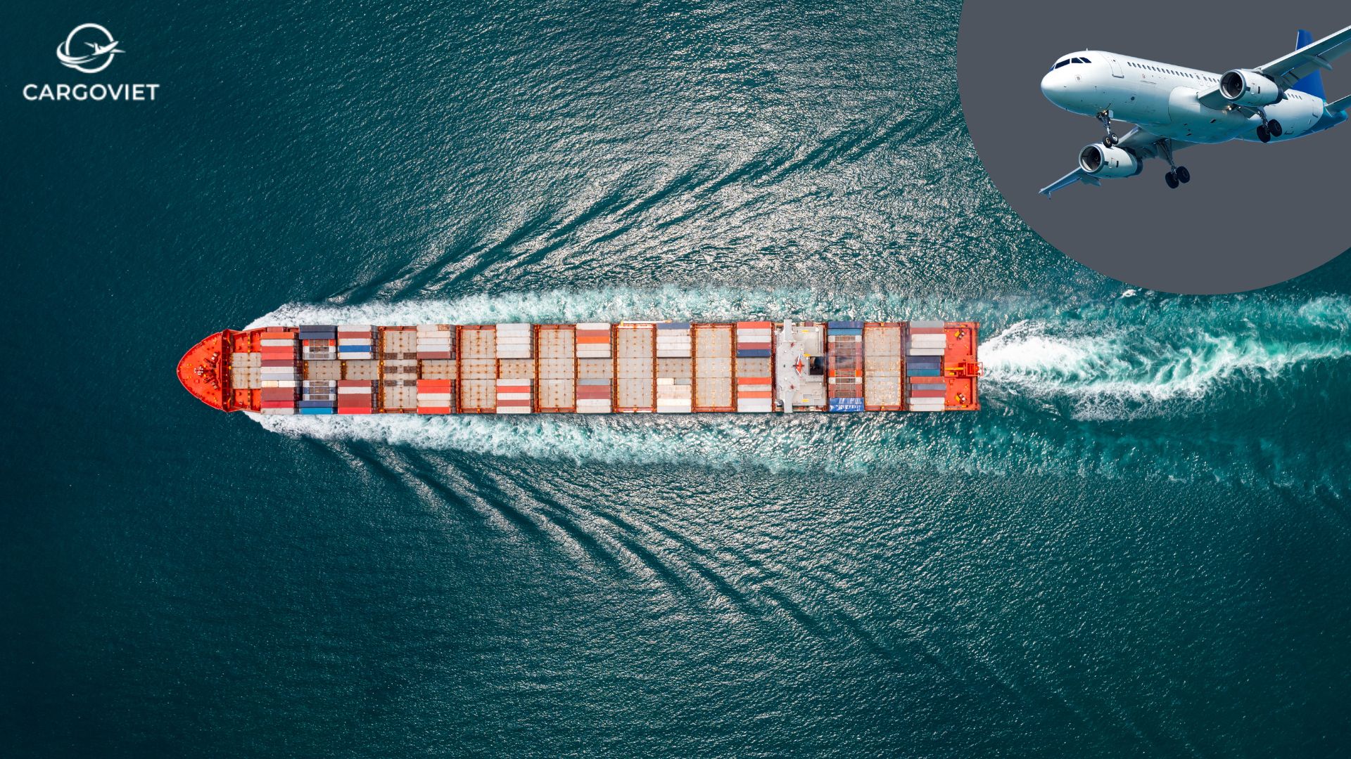 An toàn và đảm bảo với dịch vụ vận chuyển thực phẩm từ Mỹ