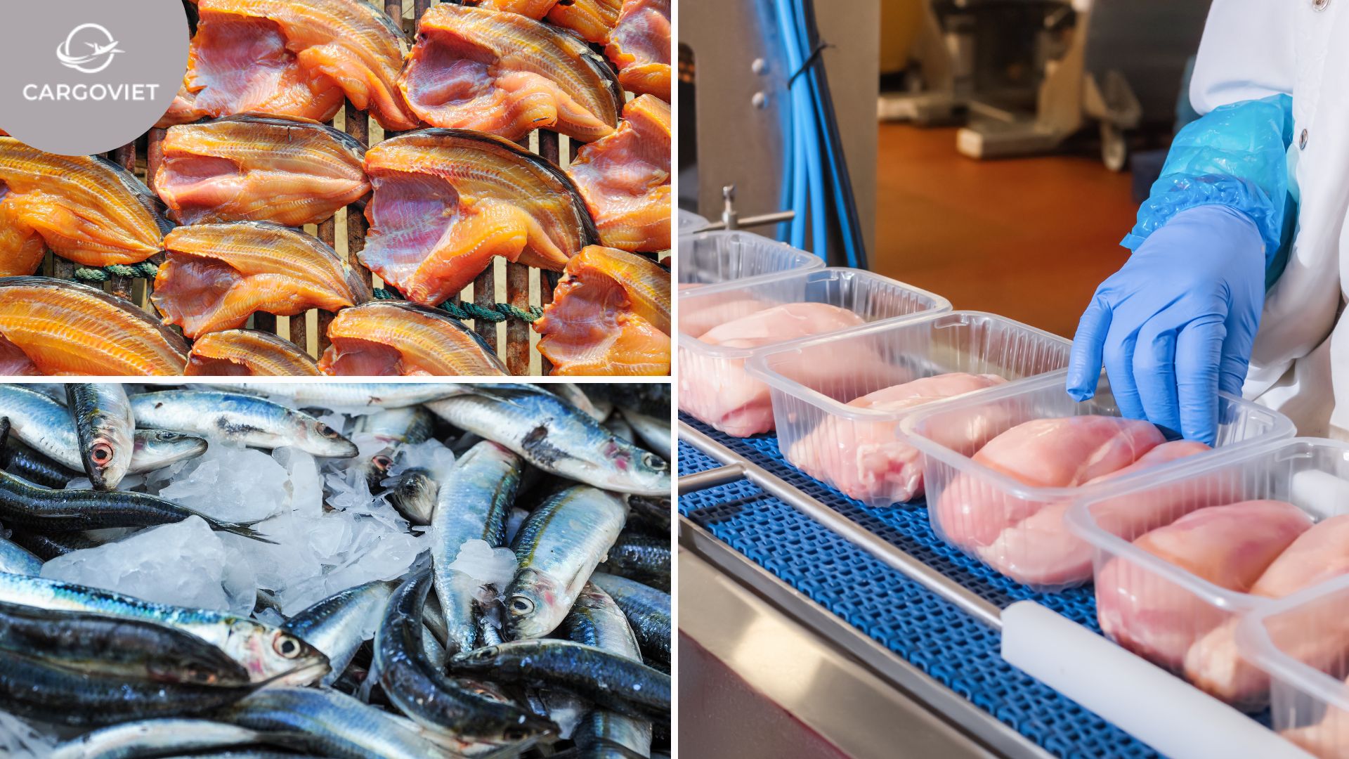 Phân loại thực phẩm