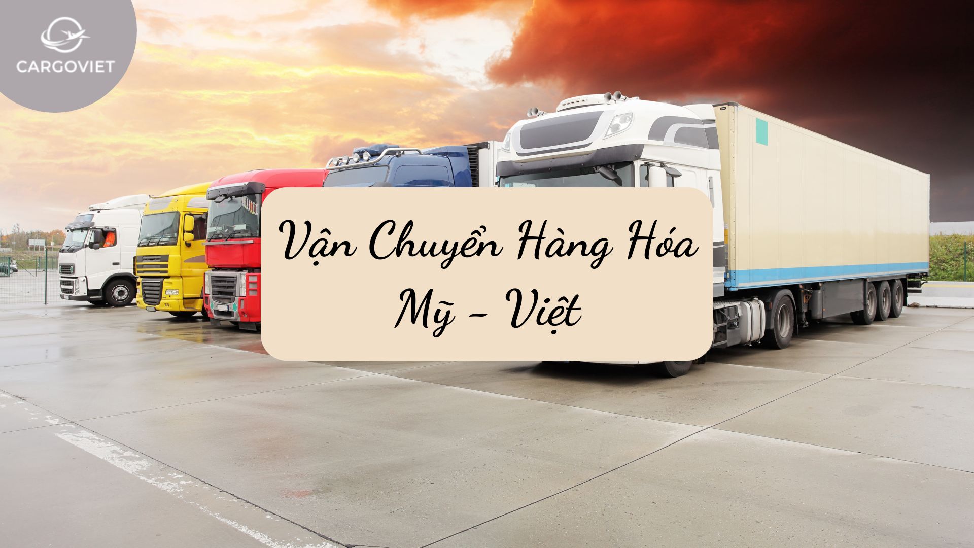 Cách ship thực phẩm chức năng từ Mỹ về Việt Nam với CargoViet