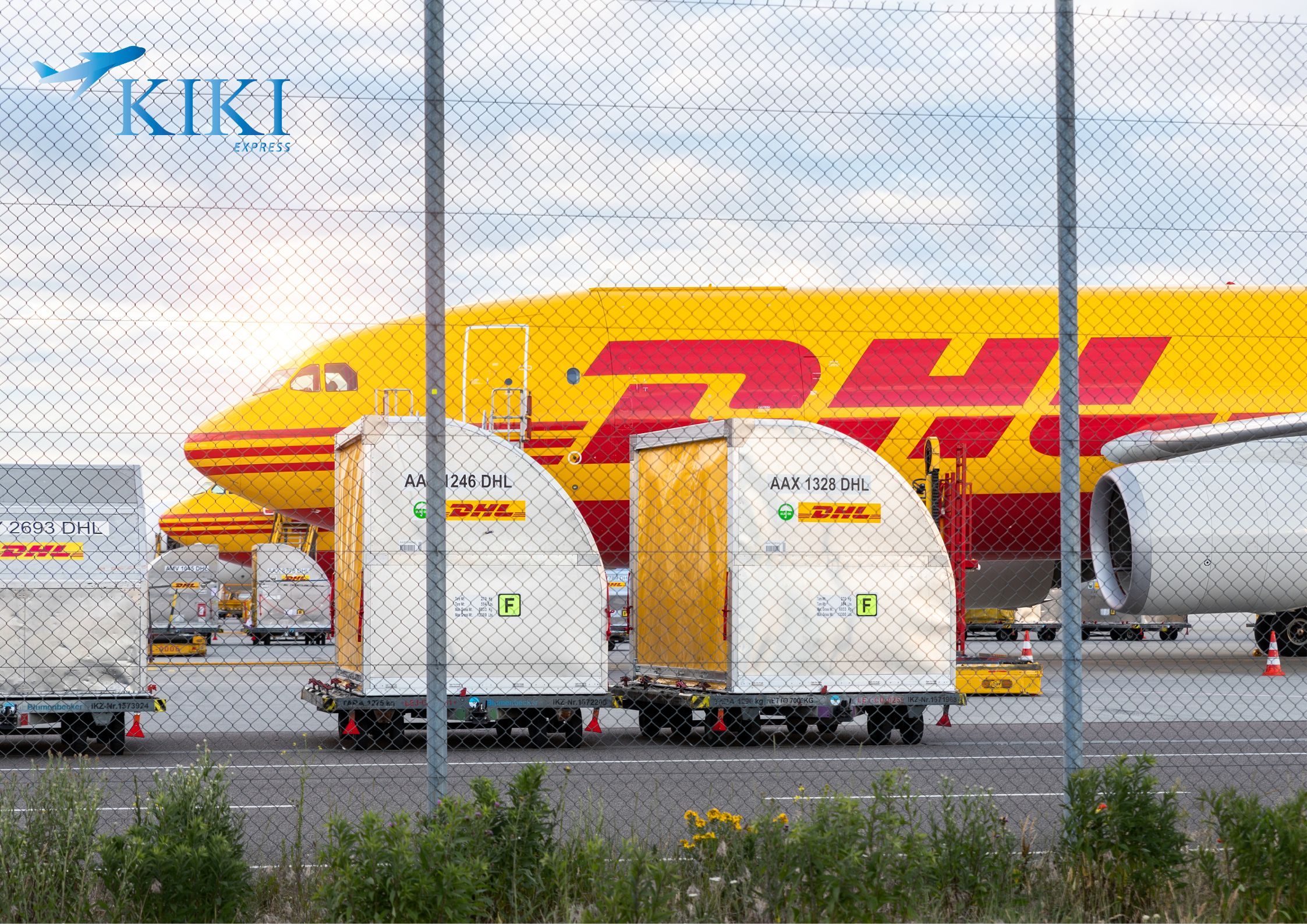 Giới thiệu về Dịch vụ gửi hàng đi Mỹ của DHL