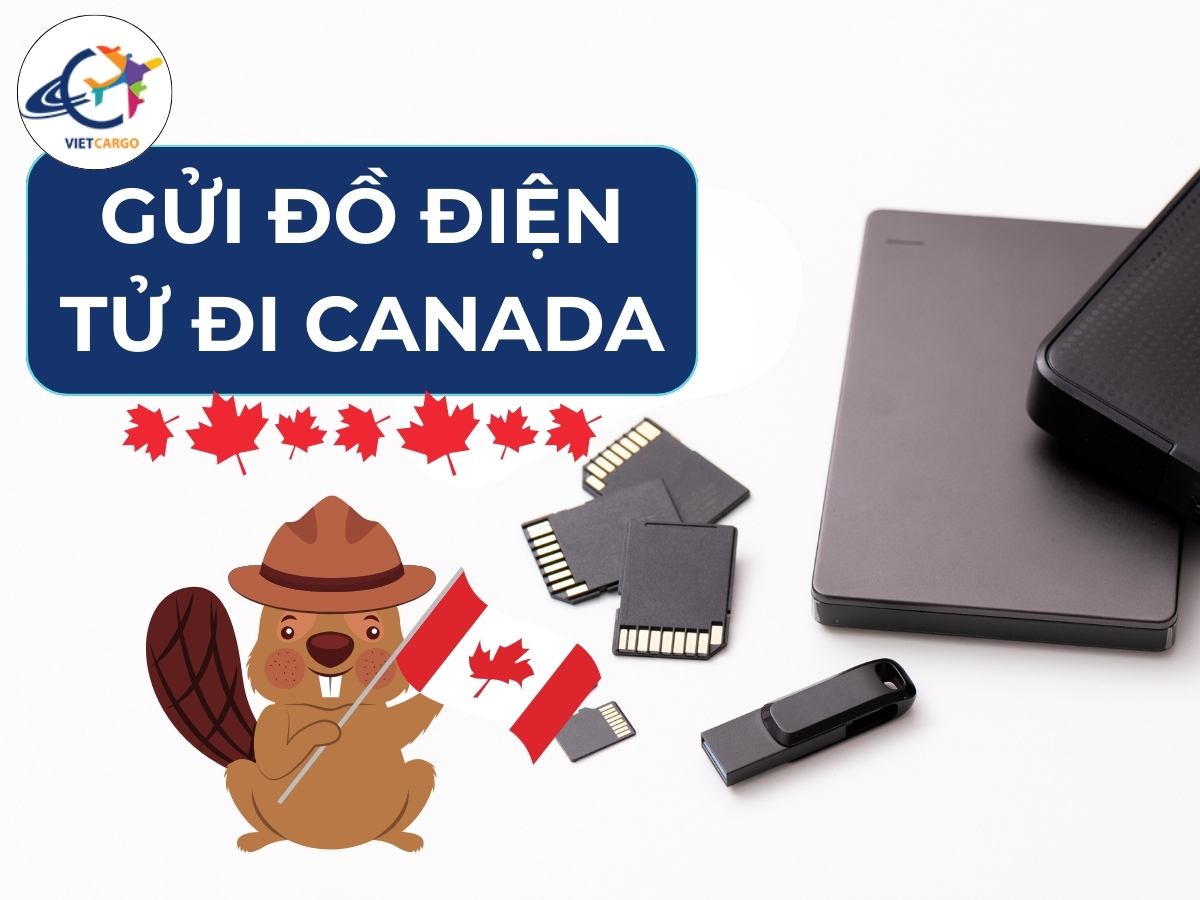 Các bước cần thiết khi Gửi hàng điện tử đi Canada